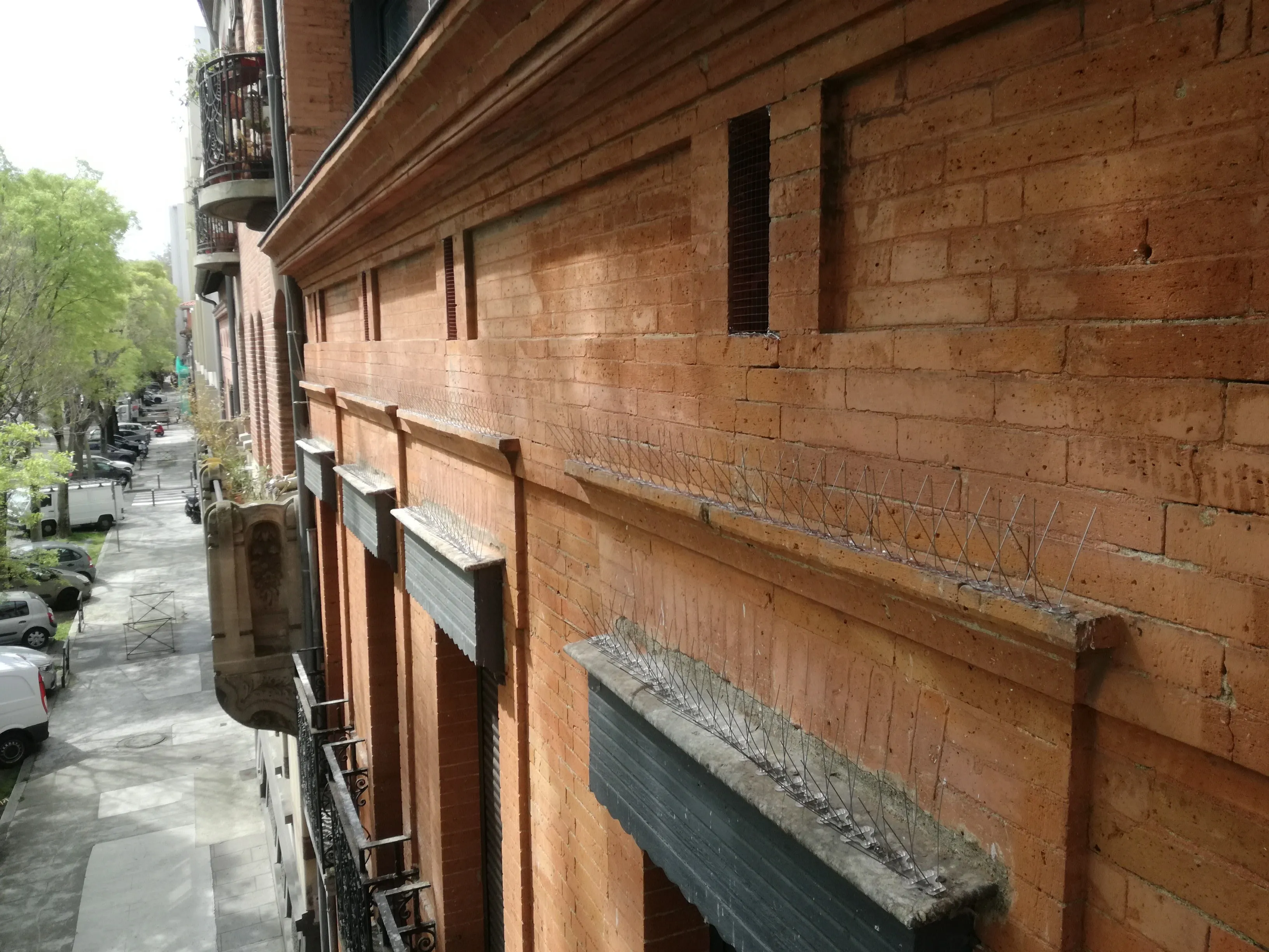 Après — Pose de picots anti-pigeons