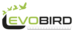 Evobird — Solutions anti-pigeons Toulouse