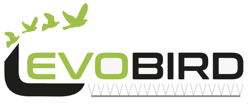 Evobird